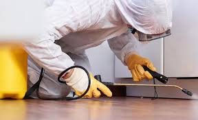 Best Residential Pest Control  in Coloma, MI